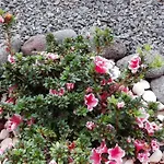 Tatil Evi Vivenda Da Natureza