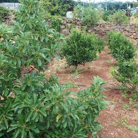 Vivenda Da Natureza Дом отдыха *