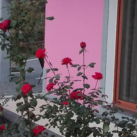 펜션 Vivenda Da Natureza *