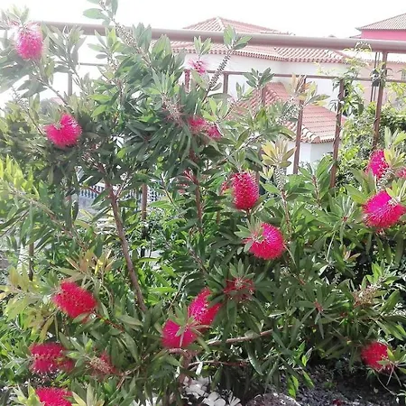 Vivenda Da Natureza Санта-Крус