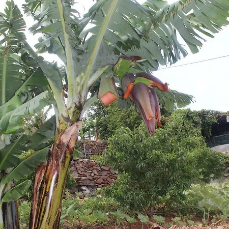 Vivenda Da Natureza Holiday home *