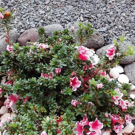 Holiday home Vivenda Da Natureza