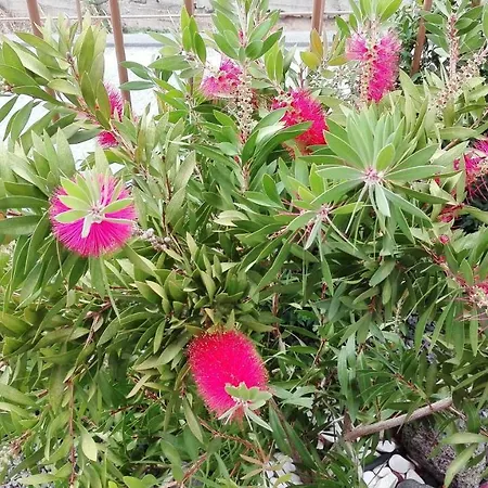 Vivenda Da Natureza Hébergement de vacances *