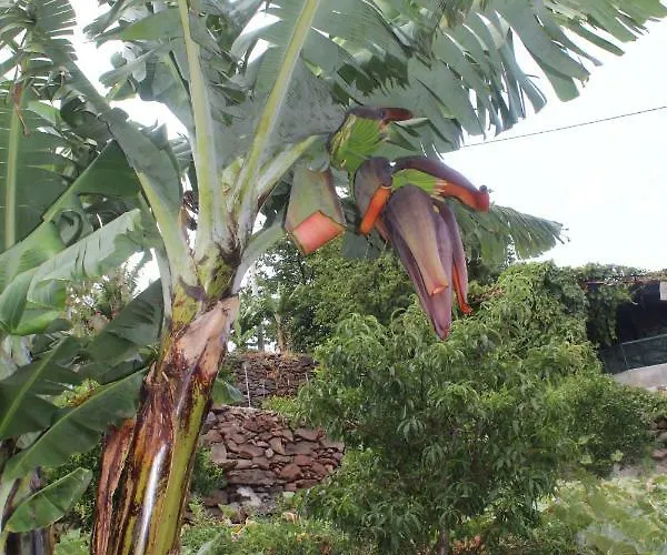 Vivenda Da Natureza Feriehus *