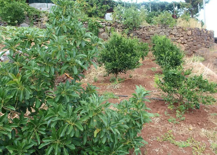 Vivenda Da Natureza Feriehus *