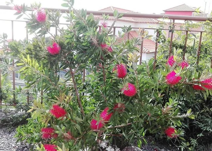 Vivenda Da Natureza Santa Cruz (Madeira)