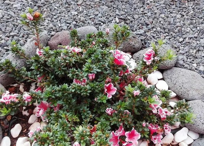 Feriehus Vivenda Da Natureza