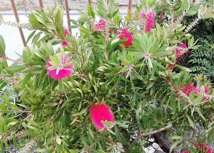 Vivenda Da Natureza Feriehus *